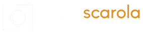 David Scarola Logo